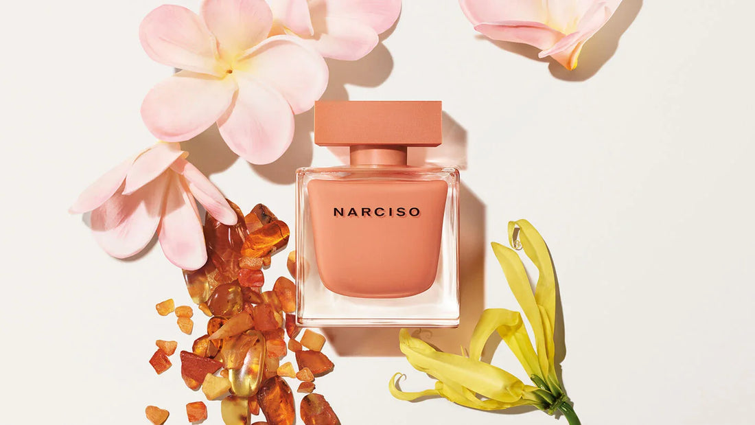 NARCISO AMBRÉE eau de parfum 50 ml